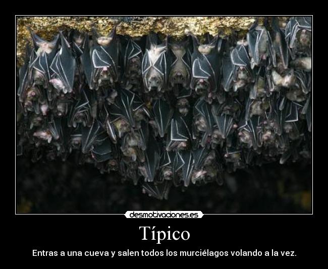 Típico -