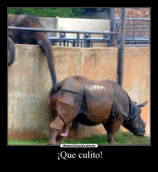¡Que culito! - 
