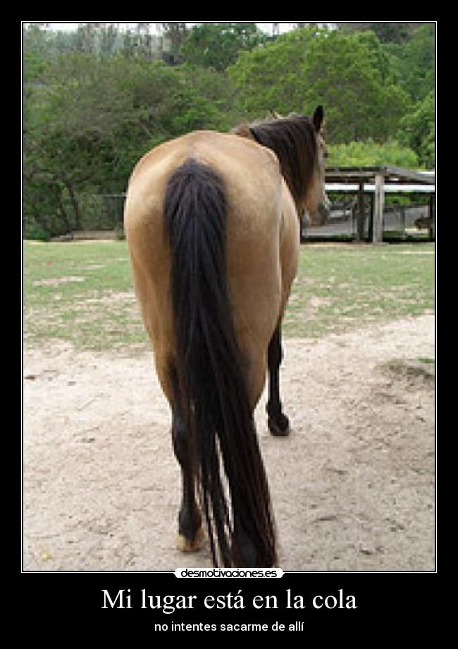 carteles desmotivaciones