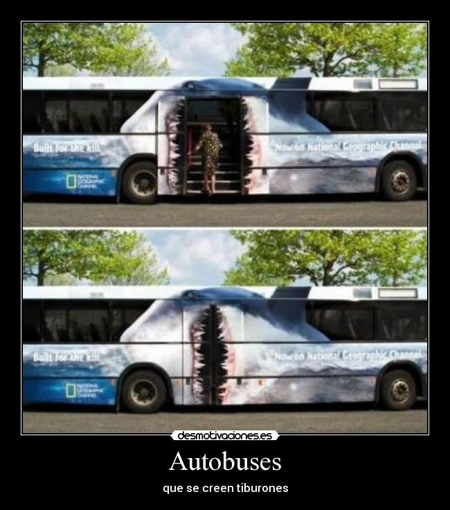 Autobuses - 