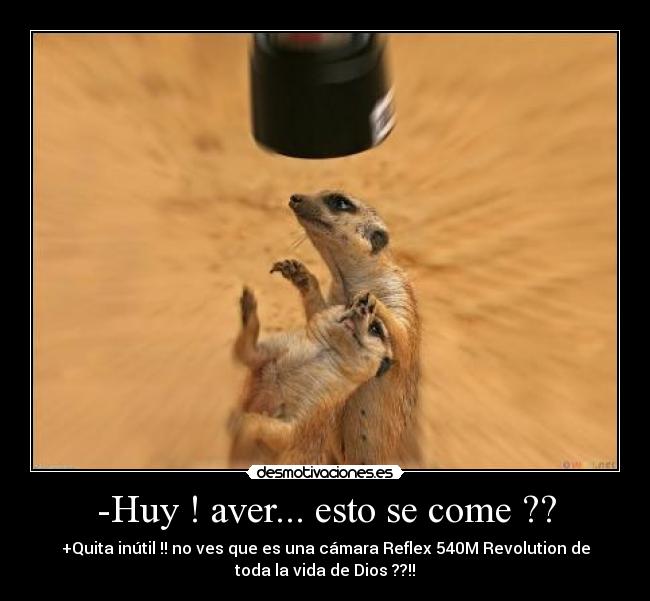 -Huy ! aver... esto se come ?? -