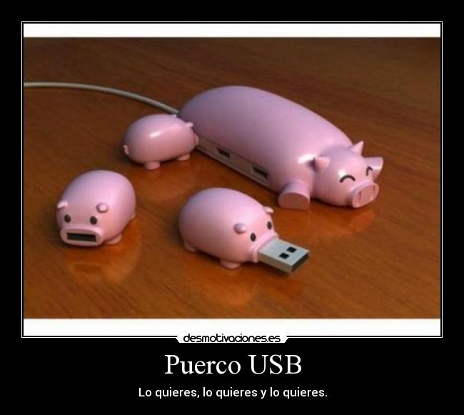 Puerco USB -