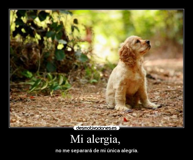 Mi alergia,  - 