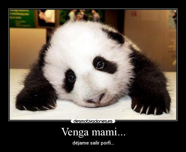 Venga mami... - 