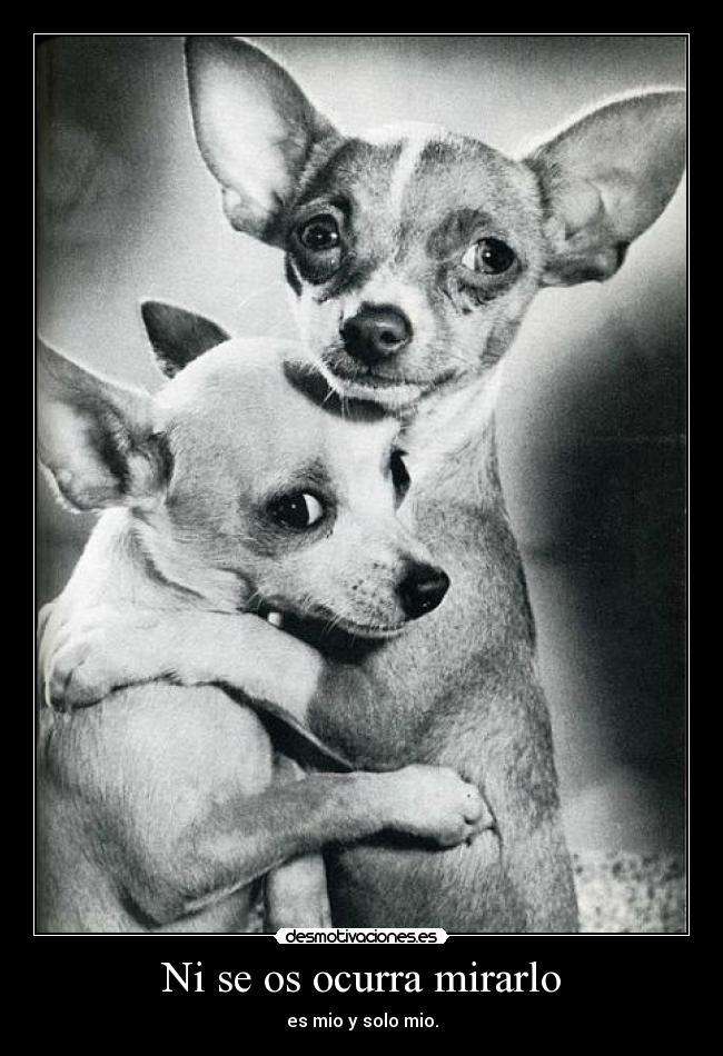 Ni se os ocurra mirarlo - es mio y solo mio.