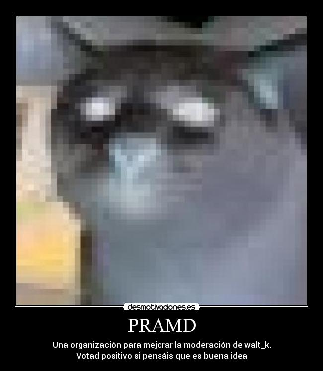 PRAMD - Una organización para mejorar la moderación de walt_k.
Votad positivo si pensáis que es buena idea