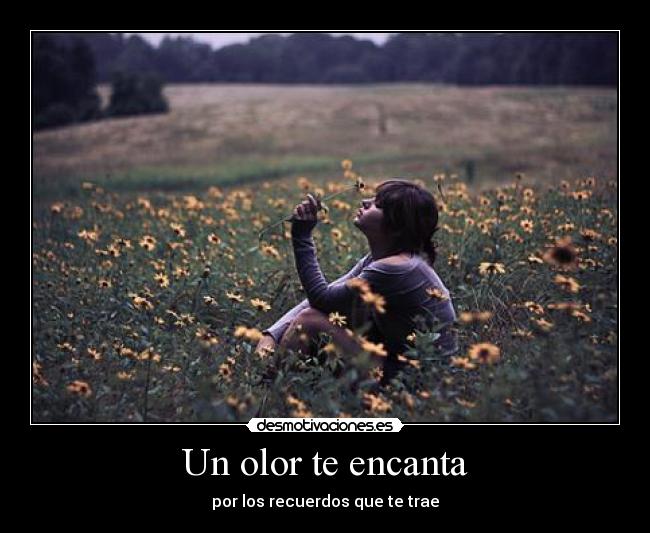 Un olor te encanta - 