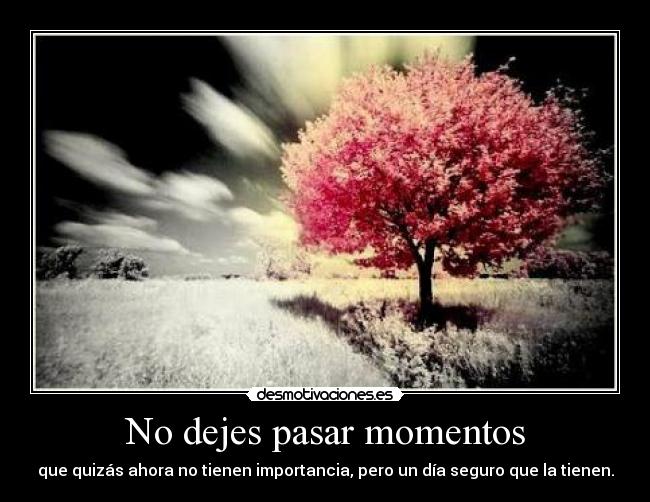No dejes pasar momentos -