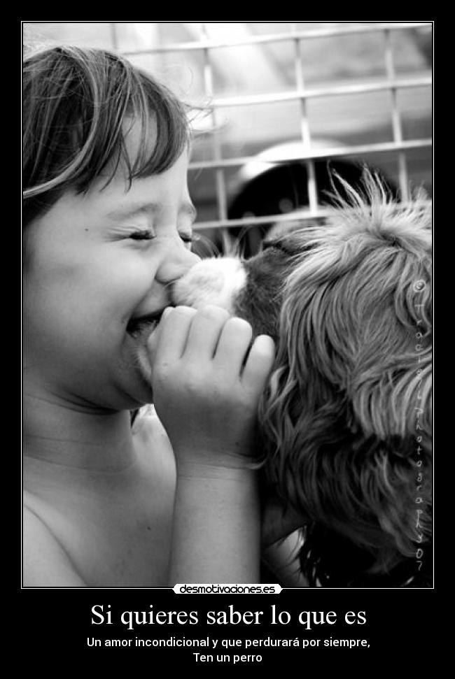 Si quieres saber lo que es -