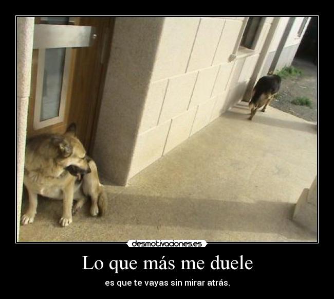 Lo que más me duele - 