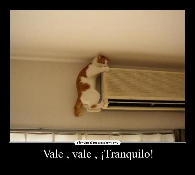 Vale , vale , ¡Tranquilo! -