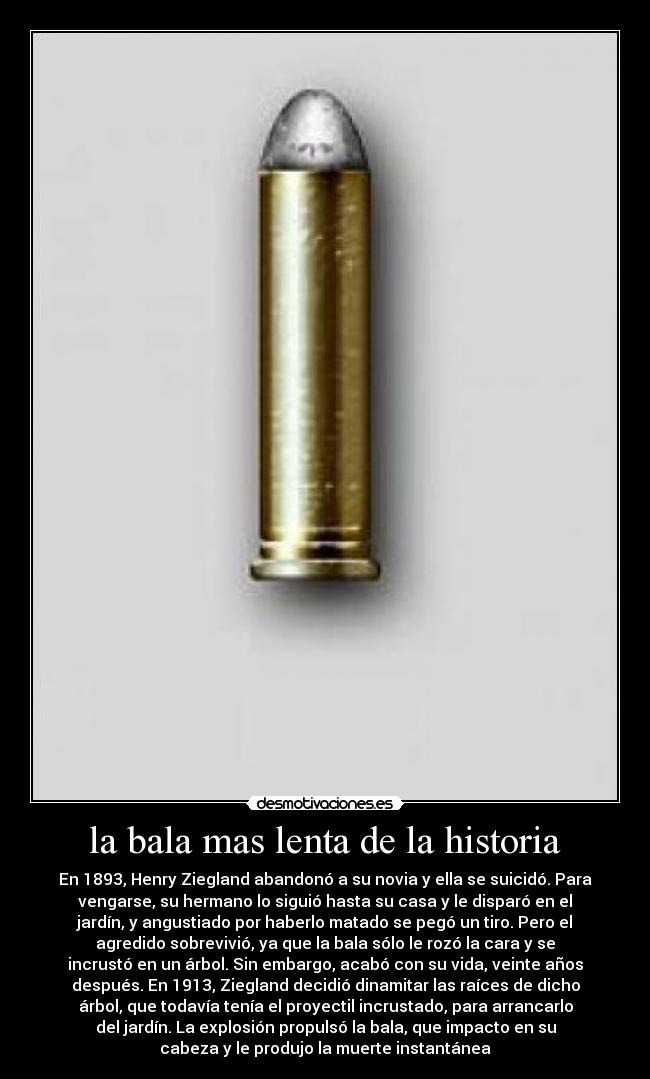 la bala mas lenta de la historia - 