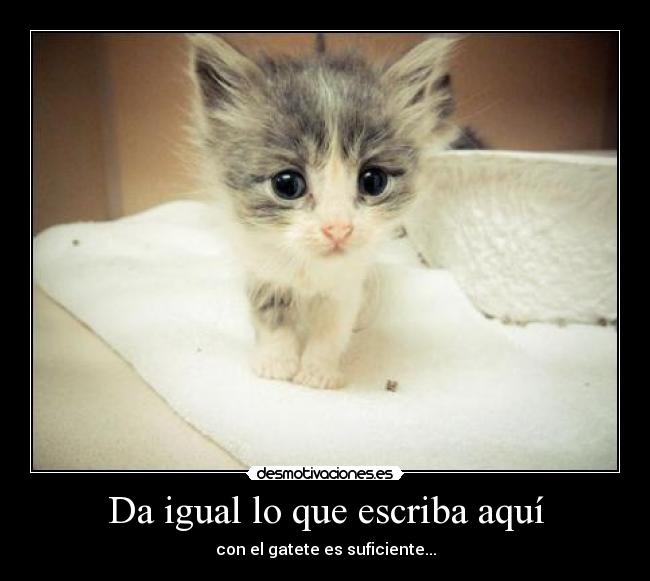 Da igual lo que escriba aquí - 