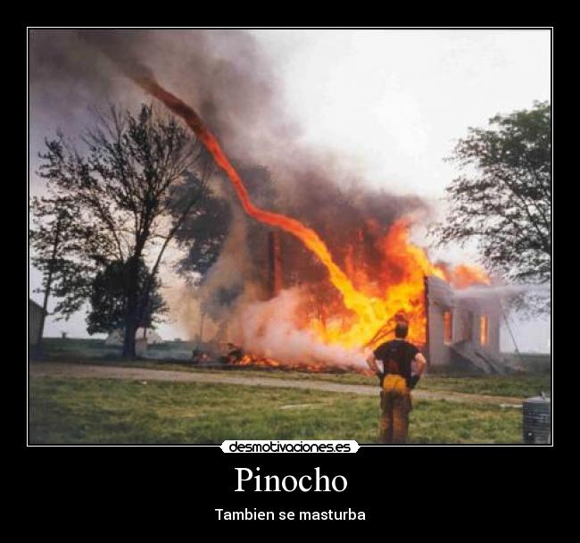 Pinocho -