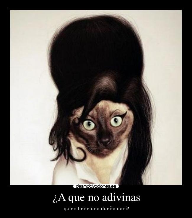 ¿A que no adivinas -