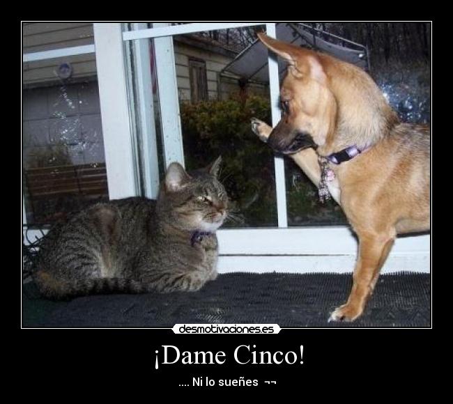 ¡Dame Cinco! -