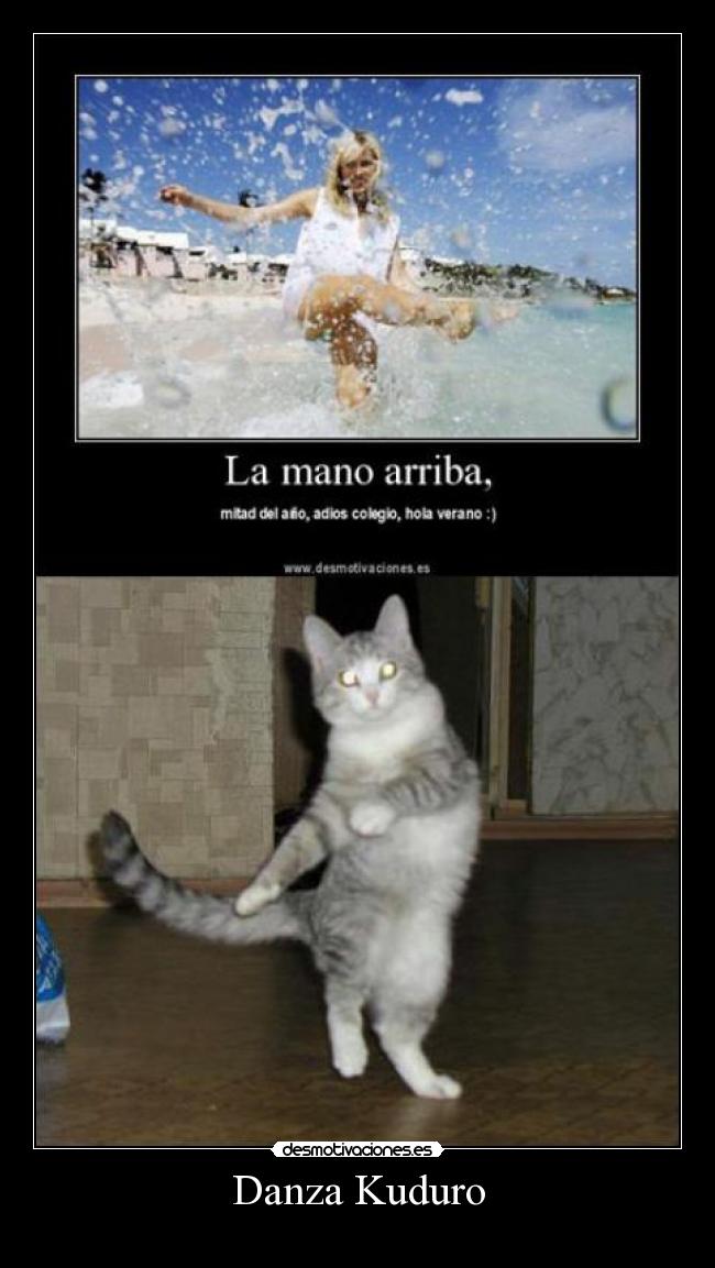 carteles mexico desmotivaciones