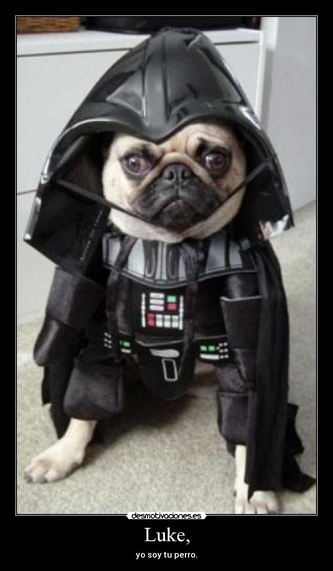 Luke, - yo soy tu perro.