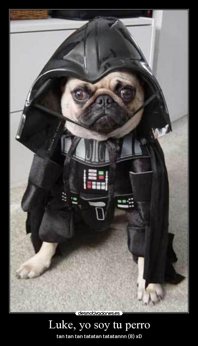 Luke, yo soy tu perro - 
