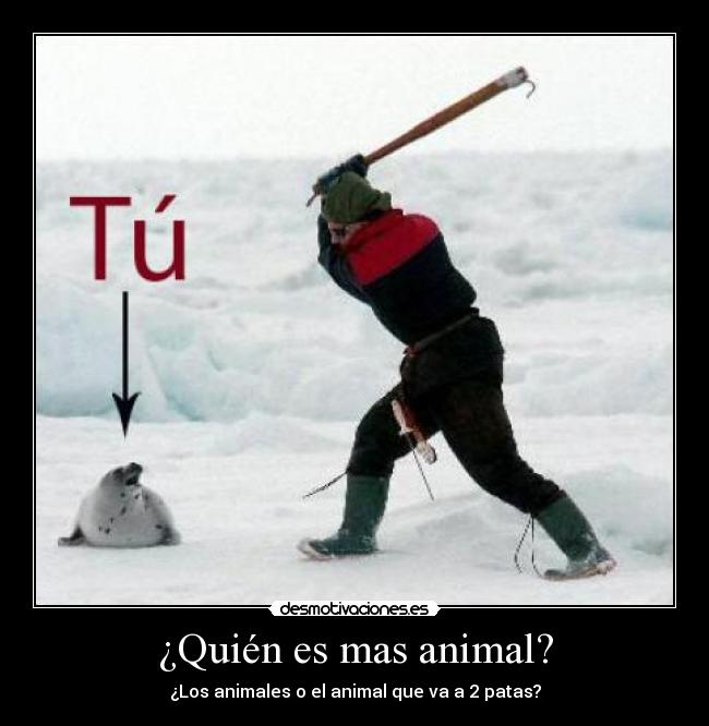 carteles quien mas animal desmotivaciones