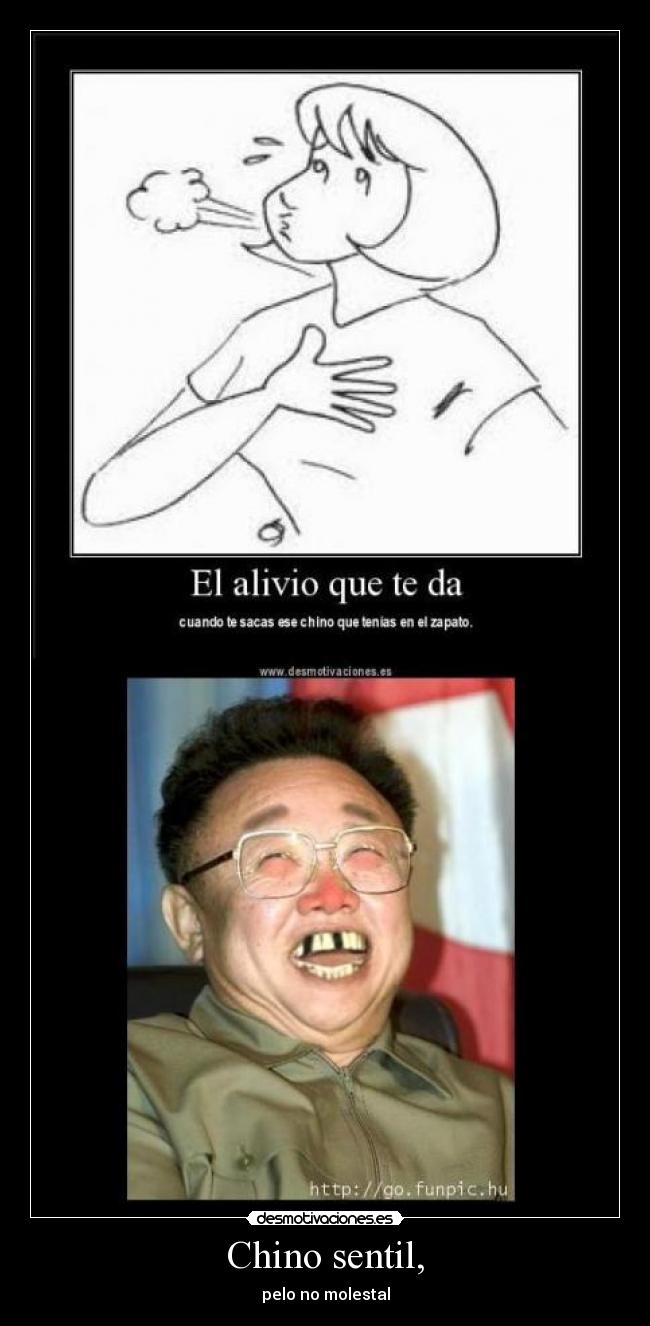 Chino sentil, - pelo no molestal