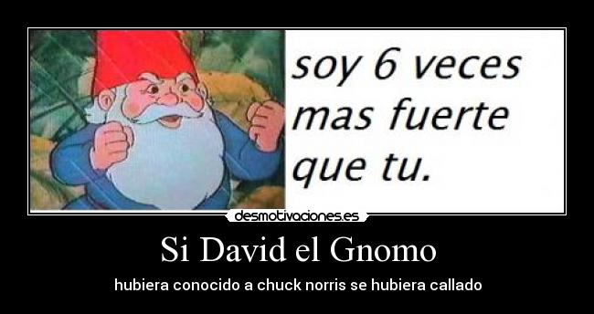 Si David el Gnomo - hubiera conocido a chuck norris se hubiera callado