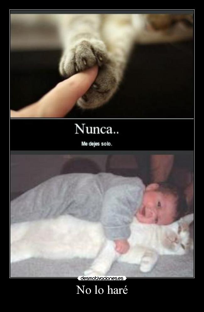 No lo haré - 