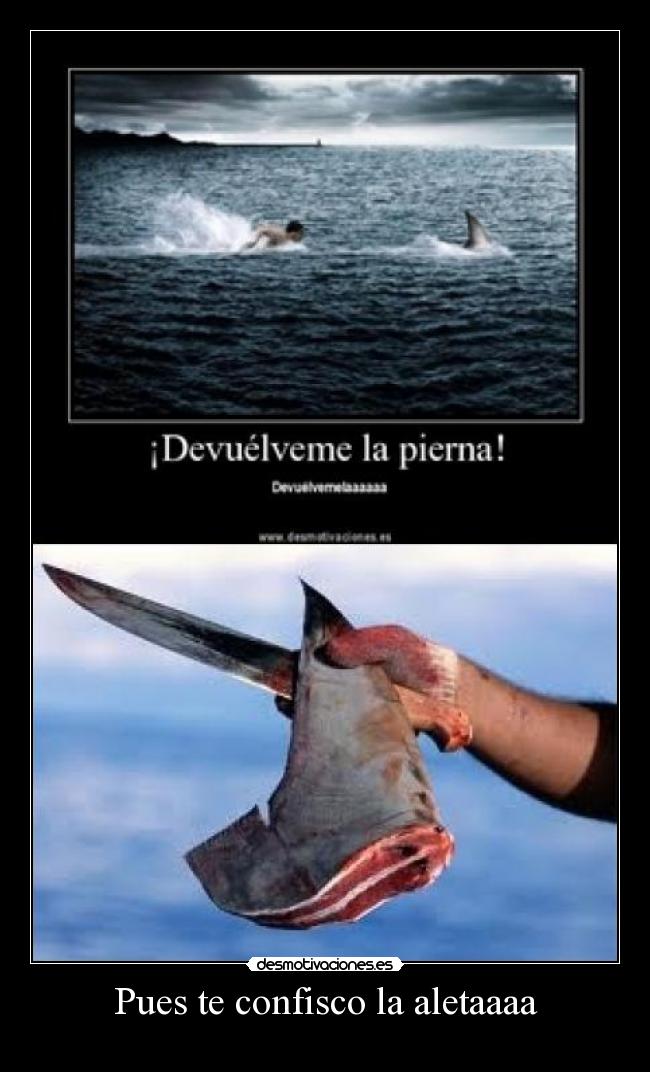 Pues te confisco la aletaaaa - 