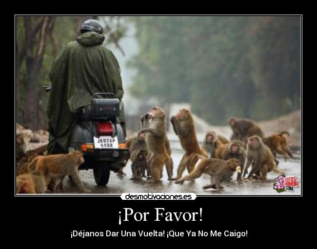 ¡Por Favor! - 