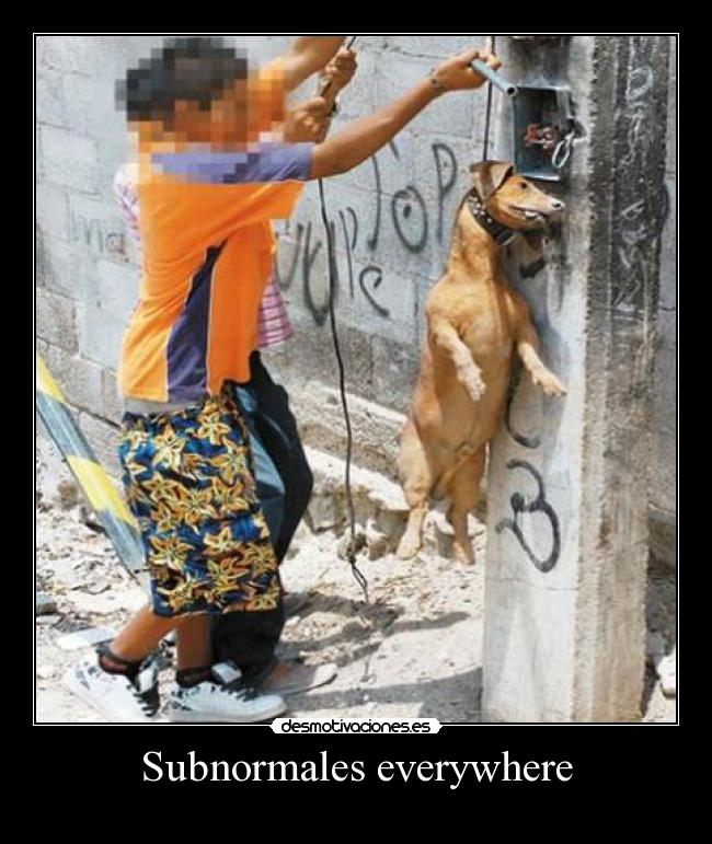 Subnormales everywhere -