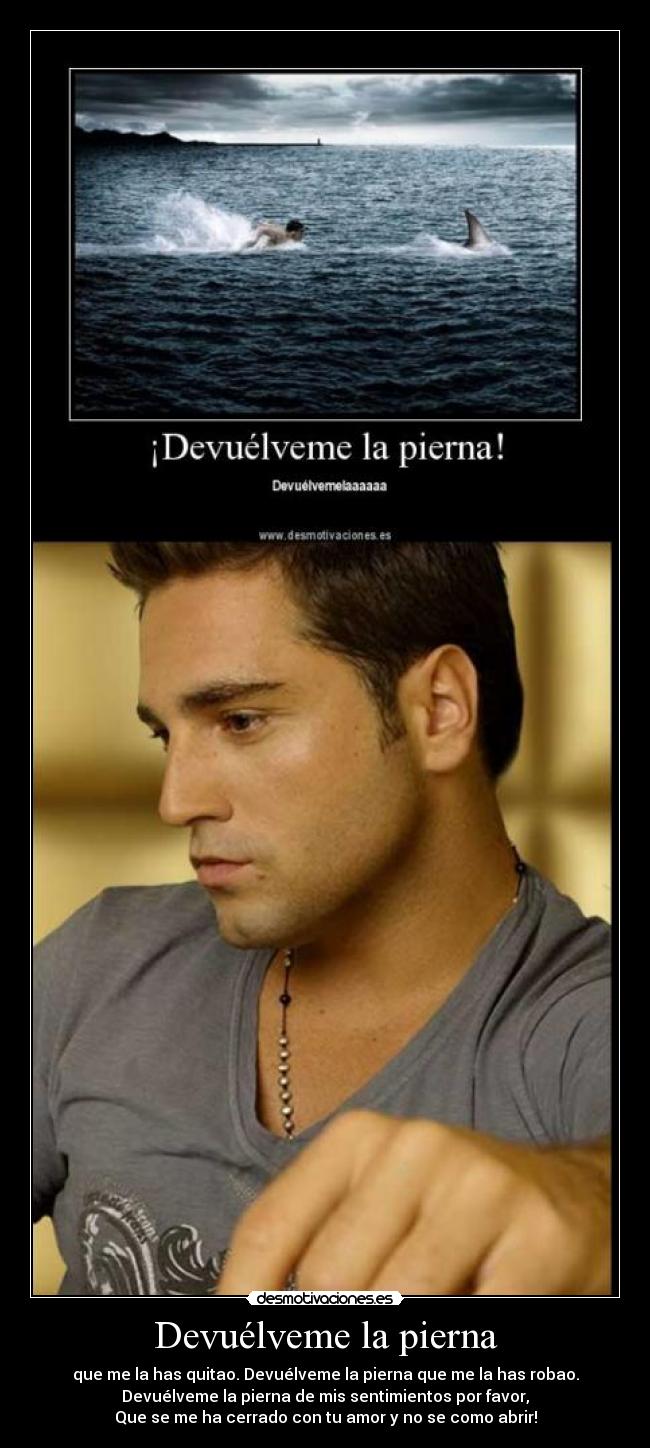 Devuélveme la pierna - 