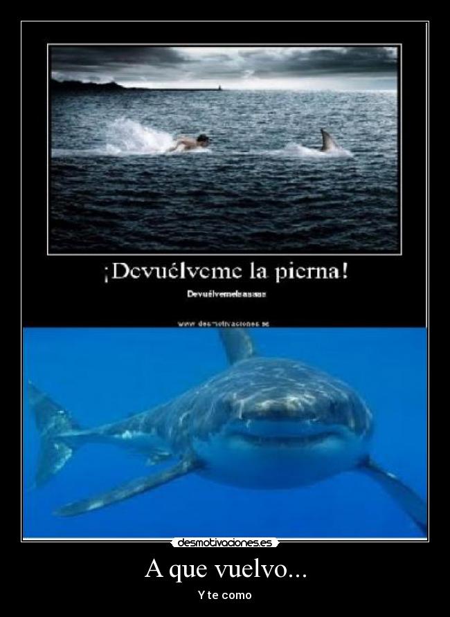 A que vuelvo... - Y te como