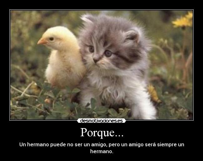 Porque... -
