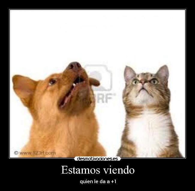 Estamos viendo - quien le da a +1