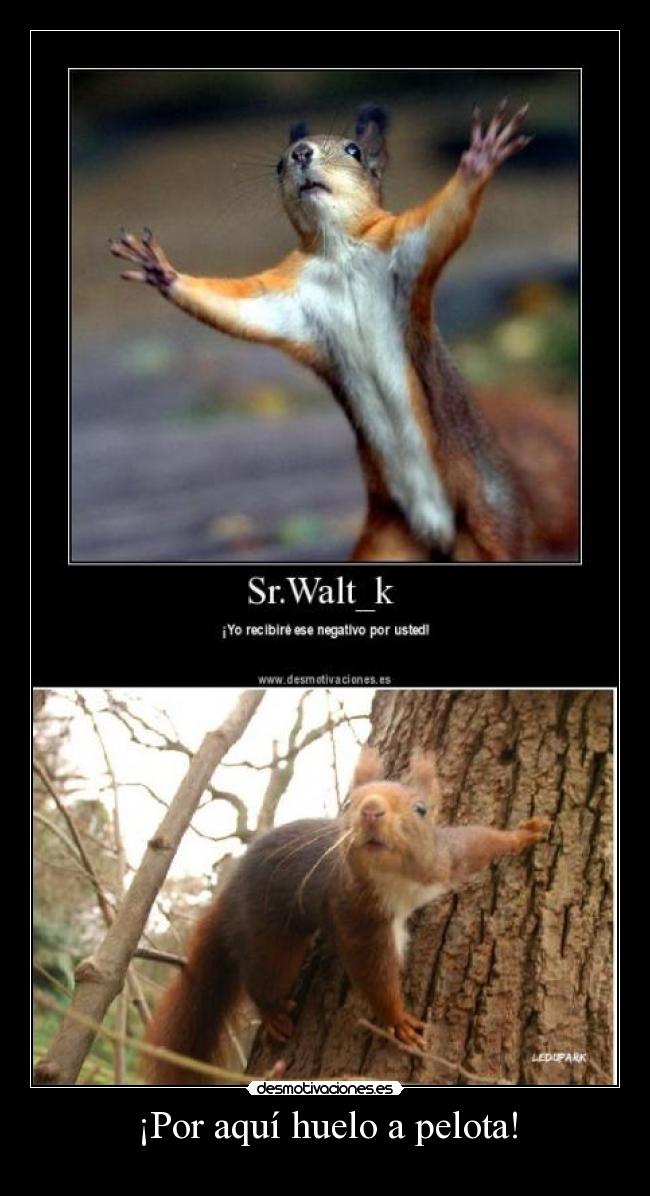 ¡Por aquí huelo a pelota! -