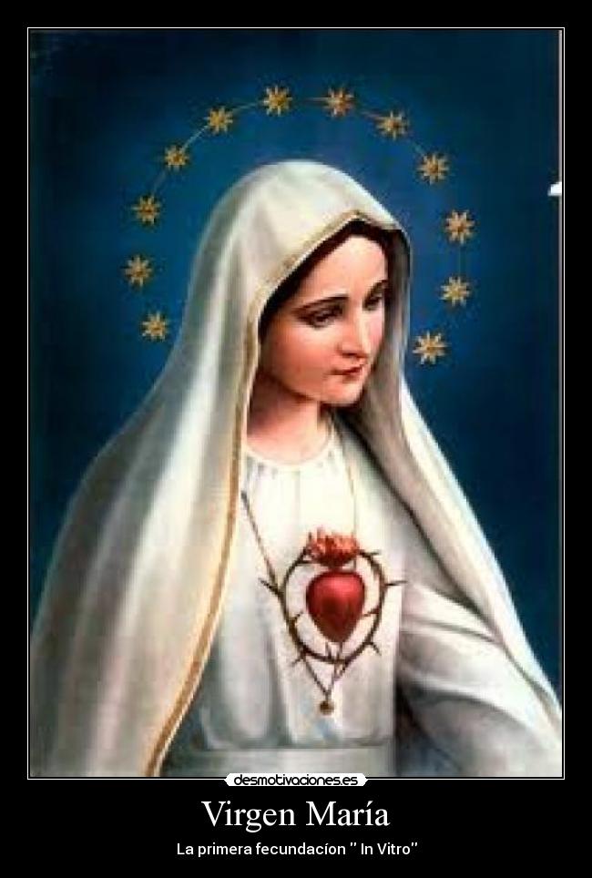 Virgen María - La primera fecundacíon In Vitro