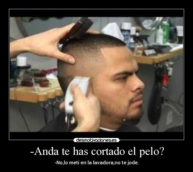 -Anda te has cortado el pelo? - -No,lo meti en la lavadora,no te jode.