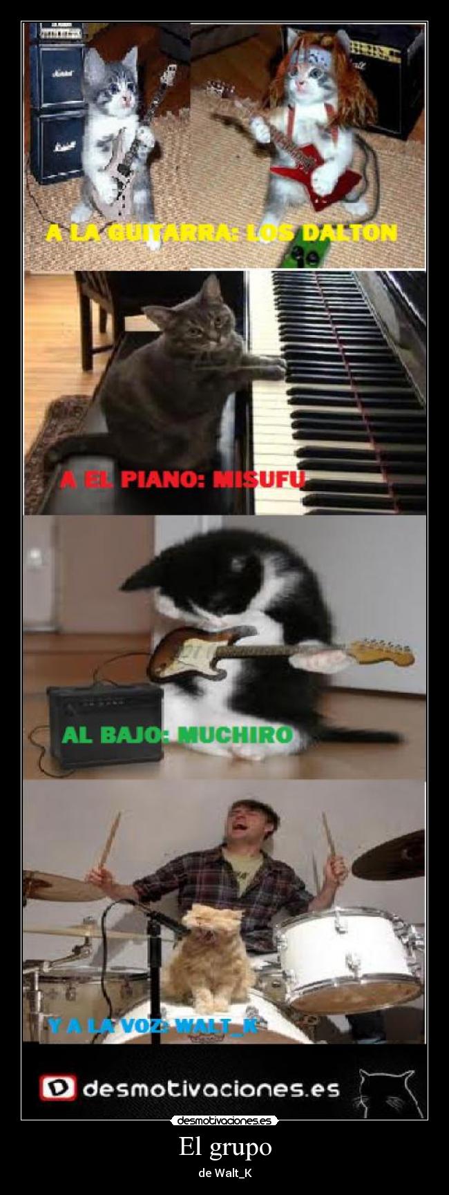 carteles gatos desmotivaciones