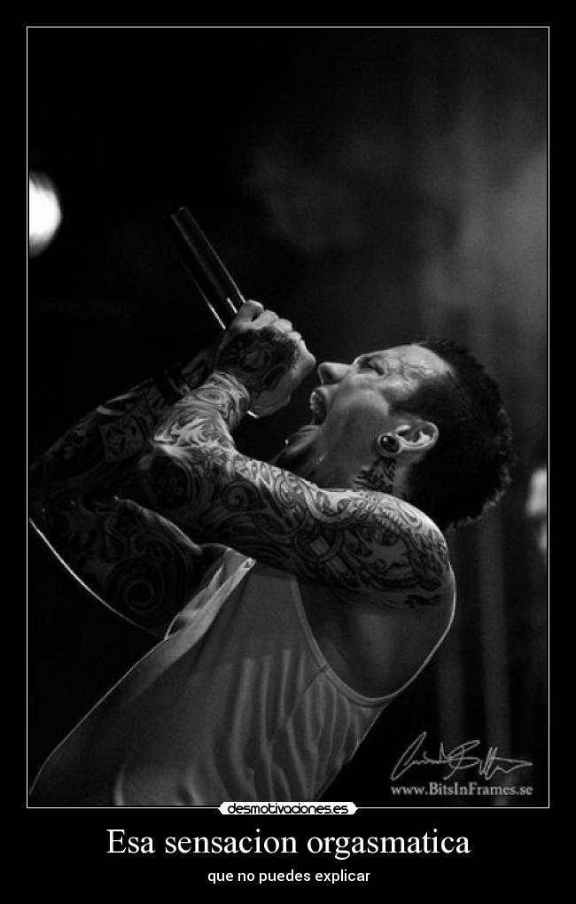 carteles orgasmo musica rock desmotivaciones