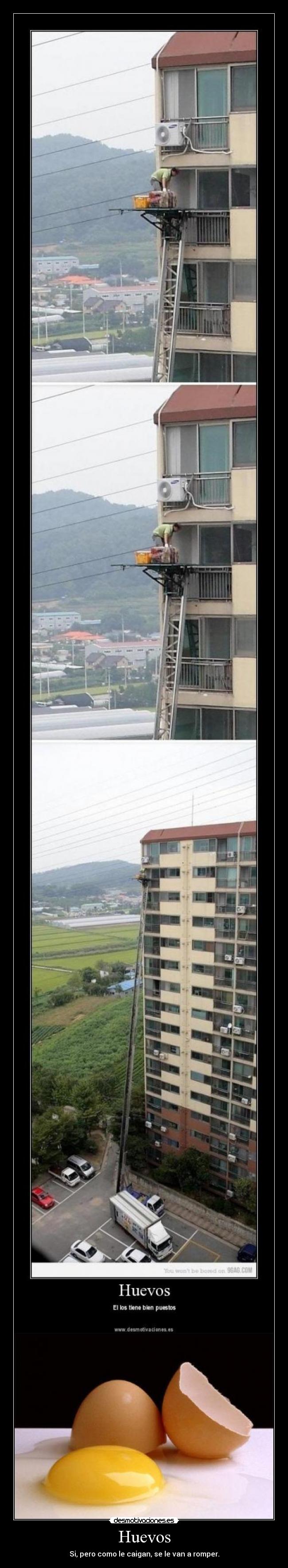 Huevos - Si, pero como le caigan, se le van a romper.