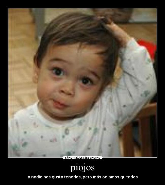 piojos - a nadie nos gusta tenerlos, pero más odiamos quitarlos