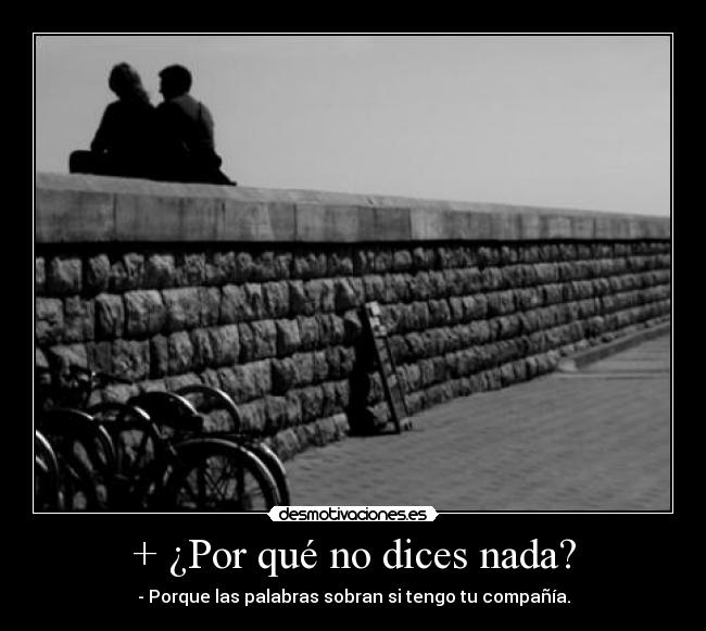 + ¿Por qué no dices nada? -