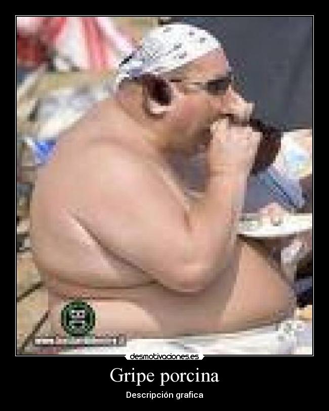 Gripe porcina - Descripción grafica