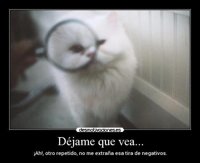 Déjame que vea... - 