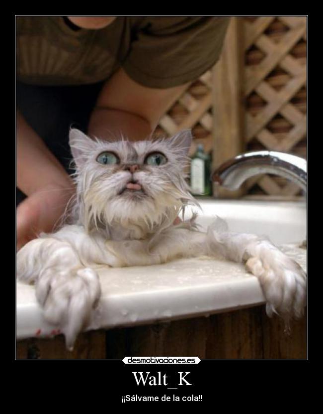 Walt_K - ¡¡Sálvame de la cola!!