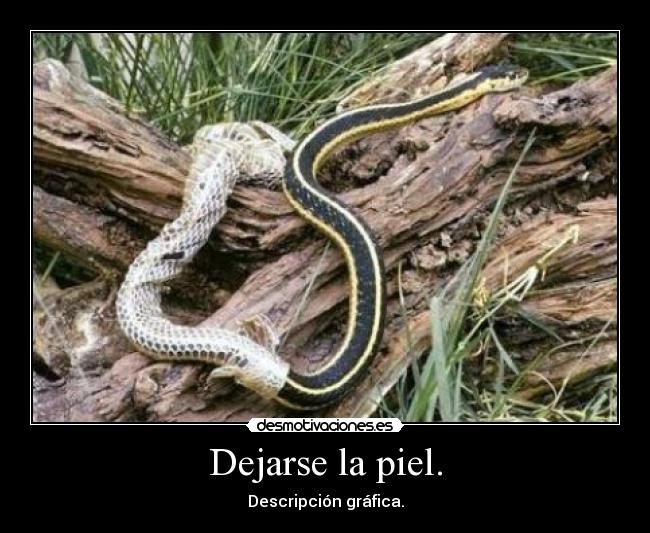 Dejarse la piel. - Descripción gráfica.