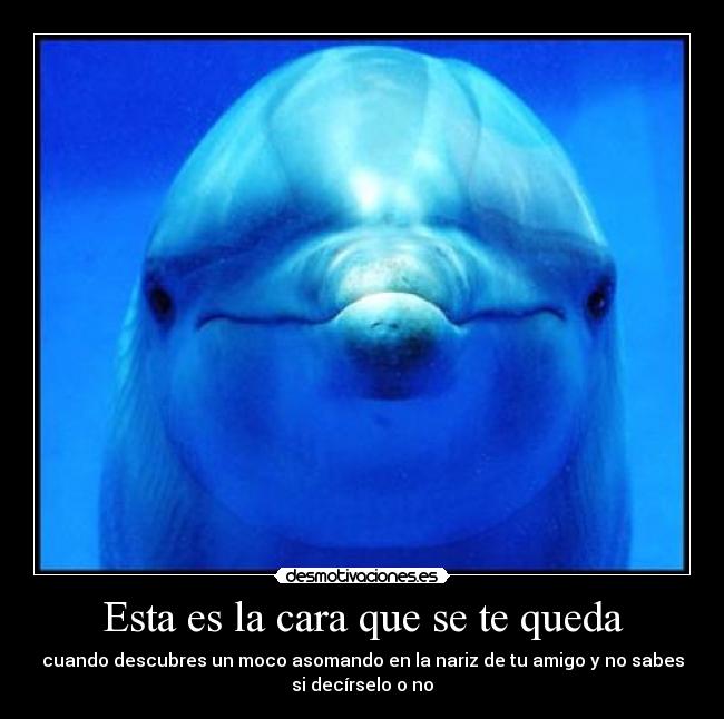 Esta es la cara que se te queda - 