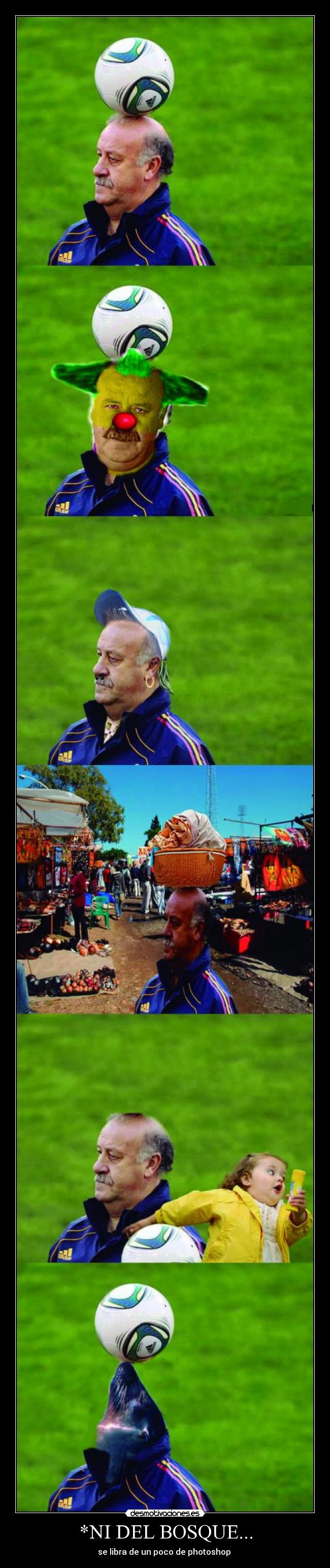 *NI DEL BOSQUE... -