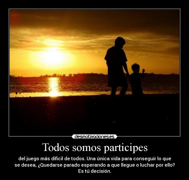 Todos somos participes -