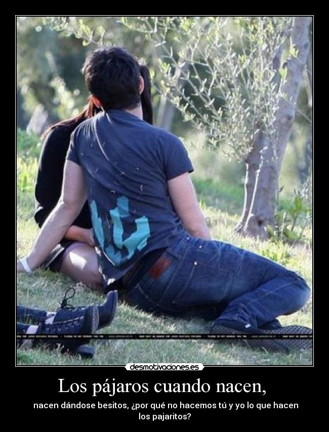 Los pájaros cuando nacen, - nacen dándose besitos, ¿por qué no hacemos tú y yo lo que hacen los pajaritos?